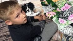 Artista ruso de 9 años cambia retratos de mascotas por comida y medicamentos para refugios de animales