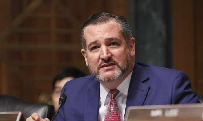 El senador Ted Cruz (republicano por Texas) durante una audiencia sobre jurisdicciones santuario en Capitol Hill, Washington el 22 de octubre de 2019. (Charlotte Cuthbertson/The Epoch Times)