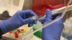 Mayoría de test de anticuerpos están sin validar e inmunidad de recuperados es incierta, dice Fauci