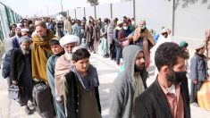 Talibanes anuncian el fracaso de las negociaciones para liberar prisioneros