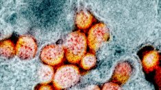 Virus del PCCh puede propagarse por transmisión aérea, según los CDC