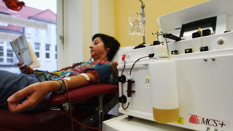 Una mujer dona plasma sanguíneo en el servicio de donación de sangre de Hamburgo el 8 de junio de 2011 en Harburg, Alemania. (Joern Pollex/Getty Images)