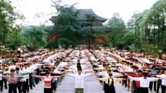 Pese a la epidemia, organizaciones del régimen chino siguen persiguiendo a Falun Dafa