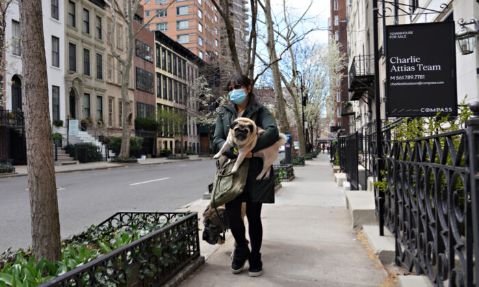 Una mujer que lleva una mascarilla porta un pug en la ciudad de Nueva York el 2 de abril de 2020. (Cindy Ord/Getty Images)