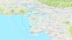 Sismo de magnitud 3.8 provoca temblores leves en Los Ángeles