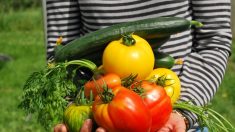 6 verduras muy saludables para plantar en su jardín