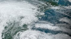 Tormenta tropical Arthur se forma en Florida, se emiten advertencias