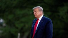 Trump anuncia que aplazará la cumbre del G7 para septiembre y que quiere ver más países en el grupo