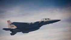 Avión de combate F-15 armado que protegía a Trump derrapa en pista tras emergencia durante el vuelo