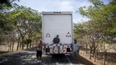 Camioneros quieren medidas de bioseguridad realistas en Centroamérica