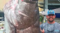 Capturan pez de 350 libras en la costa de Florida, expertos creen que vivió medio siglo