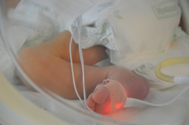 Nació en la semana 26 y se recuperó milagrosamente 26 semanas después. Imagen Ilustrativa. (Ospedale Pediatrico Bambino Gesù/Flickr)