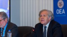 Almagro y oposición rechazan atraso de elecciones en Nicaragua por COVID-19