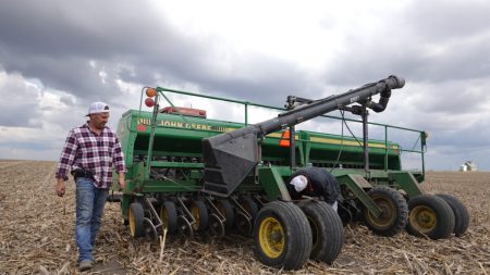 USDA: Compras agrícolas de China hasta ahora son «muy decepcionantes»