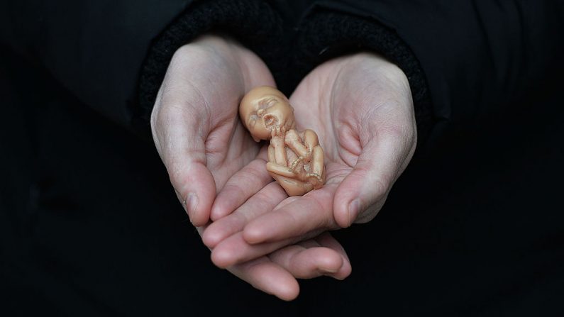 Una activista de provida muestra una muñeca de plástico que representa a un feto de 12 semanas de edad. (Charles McQuillan/Getty Images)