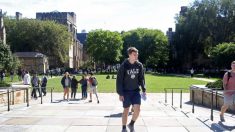 Estudiantes universitarios de Connecticut necesitarán tests masivos cuando los campus reabran