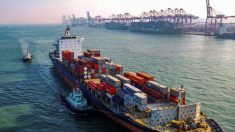 Buques de carga australianos se desvían a nuevos mercados en medio de disputa comercial con China