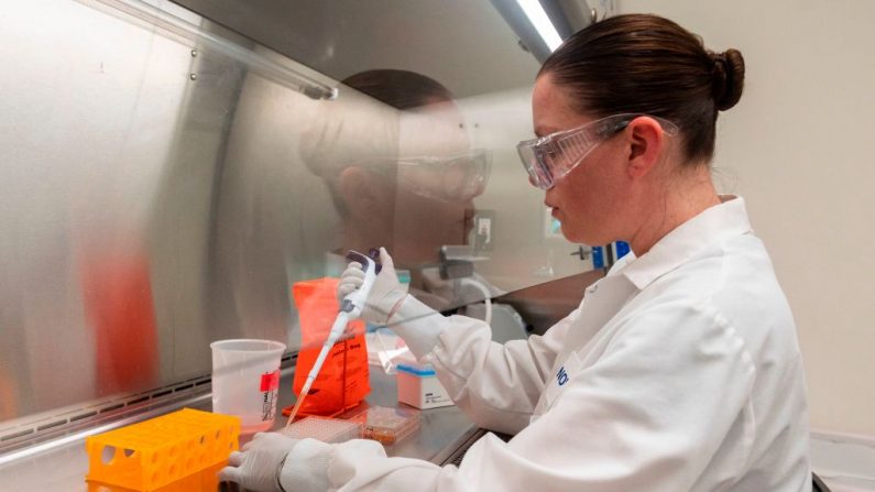Un médico observa las muestras de proteínas en los laboratorios Novavax en Rockville, Maryland, el 20 de marzo de 2020, uno de los laboratorios que desarrolla una vacuna para COVID-19. (Andrew Caballero-Reynolds/AFP a través de Getty Images)
