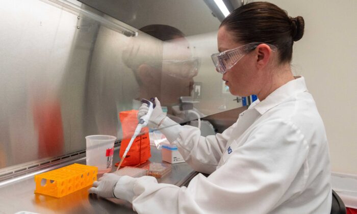 Una médico observa muestras de proteínas en los laboratorios Novavax en Rockville, Maryland (EE.UU.), el 20 de marzo de 2020, uno de los laboratorios que desarrolla una vacuna para el COVID-19. (Andrew Caballero-Reynolds/AFP vía Getty Images)
