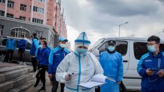 Documentos filtrados del gobierno chino sugieren graves brotes de virus en hospitales del norte