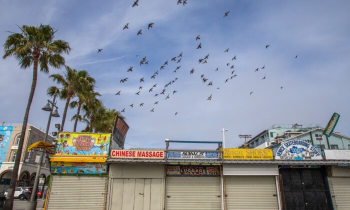 Las palomas vuelan sobre las tiendas cerradas en el muelle de Venecia, California, el 26 de abril de 2020. (Apu Gomes/AFP a través de Getty Images)
