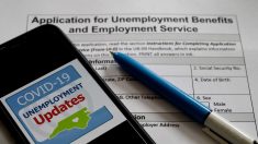 El desempleo alcanzó niveles récord en 43 estados en abril, según el Departamento del Trabajo