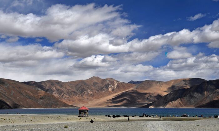Turistas tomando selfies mientras las vacas miran frente al lago Pangong en el distrito Leh del territorio de la Unión de Ladakh que limita con India y China el 14 de septiembre de 2018. Fuentes de defensa indias dijeron que cientos de tropas chinas se habían mudado a una zona en disputa a lo largo de sus 3.500 kilómetros. larga frontera (2,200 millas) después de las escamas recientes. (Imágenes de Prakash Singh/AFP/Getty)
