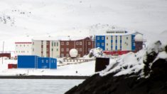 Beijing se apodera de tierras antárticas: El PCCh construye su 5ta base cerca del Polo Sur