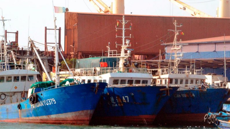 La foto tomada el 11 de abril de 2017 muestra barcos de pesaca chinos en el puerto de Conakry, durante una inspección de las autoridades de Guinea. (CELLOU BINANI/AFP a través de Getty Images)
