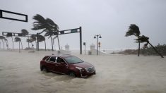 EE.UU. teme una temporada de huracanes «extremadamente activa» en el Atlántico