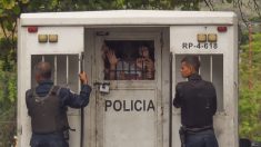 Maduro libera criminales de las cárceles escudándose en el virus del PCCh