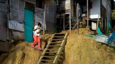 Por cuarentena Colombia podría retroceder 20 años en su lucha contra la pobreza