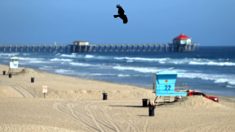 Newsom aprueba reapertura de 2 playas de la ciudad del Condado de Orange para la ‘Recreación activa’