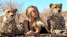 Niña criada con guepardos cuida felinos depredadores hasta que recobren la salud
