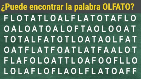 ¿Puede encontrar las palabras escondidas? Ponga a prueba sus habilidades