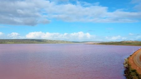 Arroyo de Melbourne se tornó color rosa brillante, autoridades ambientales investigan qué sucedió