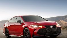 Avalon TRD 2020, Toyota experimenta con la fuente de la juventud