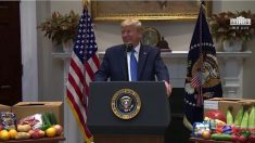 Trump anuncia las reglas para entregar la ayuda pandémica por USD 19,000 millones a agricultores