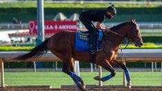 Las carreras de caballos tienen un lento inicio en California