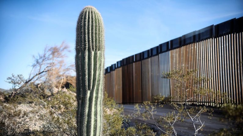 El muro de la frontera entre Estados Unidos y México se ve en el Parque Nacional de Organ Pipe al sur de Ajo, Arizona, el 13 de febrero de 2020. (Sandy Huffaker/AFP/Getty Images)