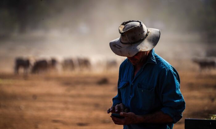 Agricultor australiano en su propiedad en el noroeste de Nueva Gales del Sur, Australia, el 3 de octubre de 2019. (David Gray/Stringer/Getty Images)