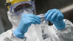 FDA emite nuevas normas para test de anticuerpos tras aparición de falsificaciones en el mercado