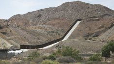 Trump otorga el contrato más grande hasta el momento para el muro fronterizo entre EE.UU. y México