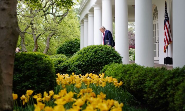 El presidente Donald Trump llega para la sesión informativa diaria sobre el virus del Partido Comunista Chino en el Jardín de las Rosas de la Casa Blanca, en Washington, el 14 de abril de 2020. (Mandel Ngan / AFP a través de Getty Images)
