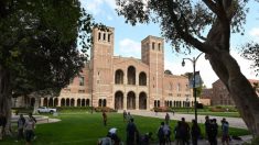 UCLA ofrecerá apoyo financiero a inmigrantes ilegales excluidos del paquete de ayuda federal