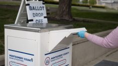 Comisionada de la FEC cuestiona la acusación de Trump de que el voto por correo conduce al fraude