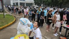 Un estudio de Harvard sugiere que el virus del PCCh circulaba en Wuhan desde agosto