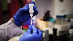 Los expertos de Oxford probarán en Brasil la posible vacuna de COVID-19