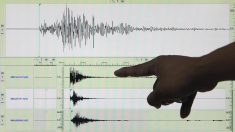 Un terremoto de magnitud 7.1 sacude las islas neozelandesas de Kermadec
