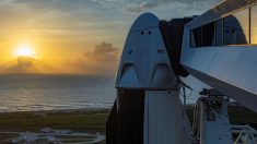 SpaceX envía otra tanda de satélites al espacio tras su histórico lanzamiento